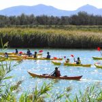 tour en kayak de avistamiento de aves ornitocaiac